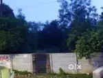 Plot for Rent Bilaspur.