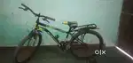 6 month old cycle legend