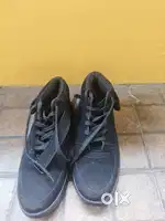 Casual Shoes