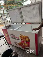 BLUE STAR brand Deep Freezer for Sale