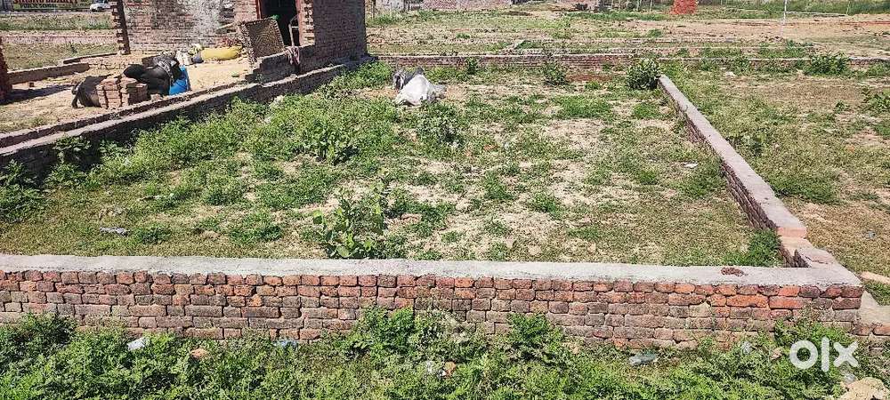 बिना किसी विवाद के प्लॉट खरीदे