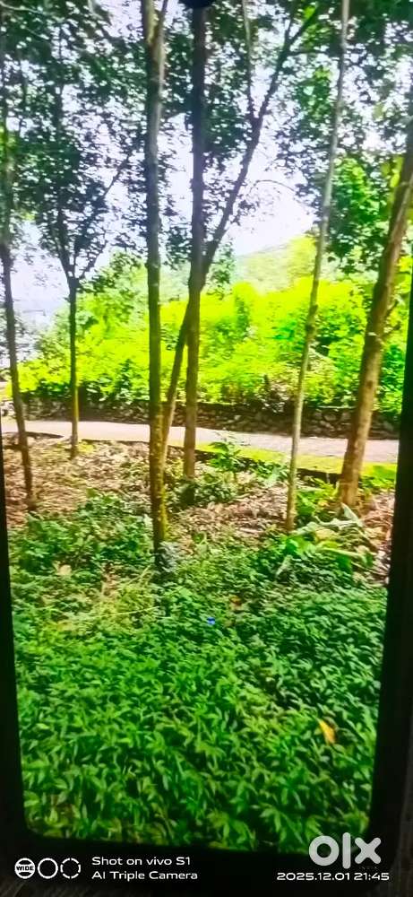 സ്ഥലം വിൽപ്പനയ്ക്ക്