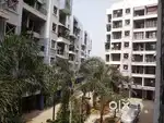 2 bhk flat on rent