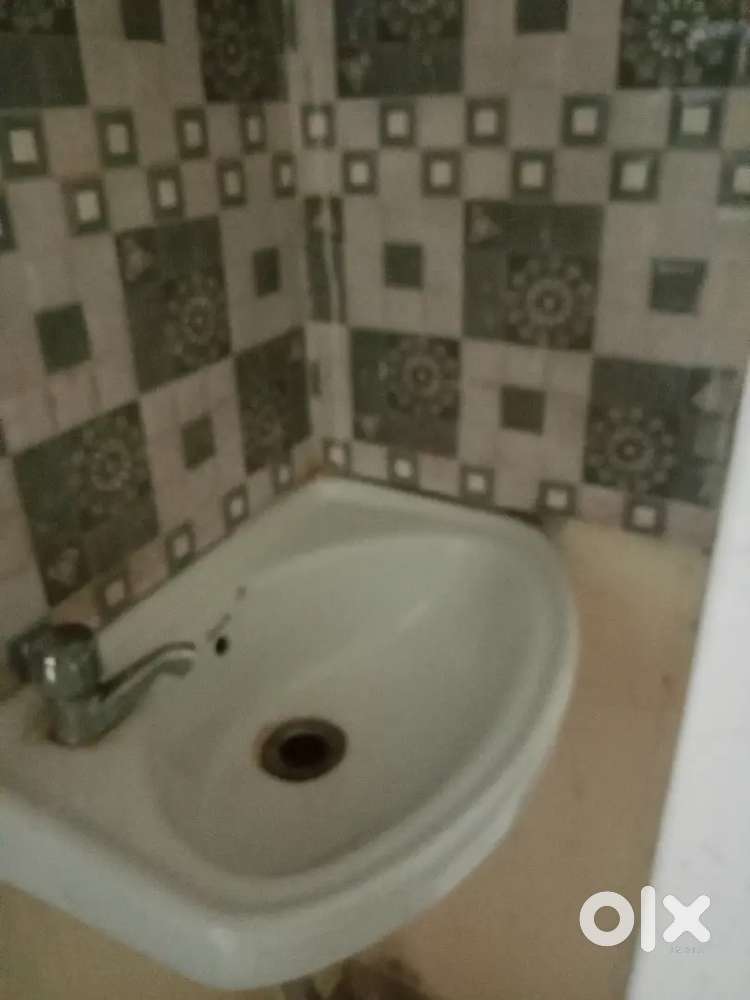 1bhk on rent ready position no restriction