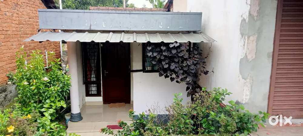 7 Cent Plot with House & Shop Room for Sale –KK Road Frontage, Pampady