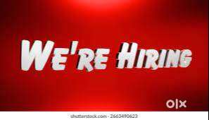 FRONT DESK EXECUTIVE