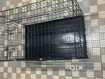 Cage for cat