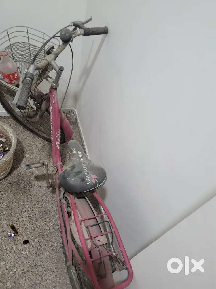 Lady bird cycle for girls