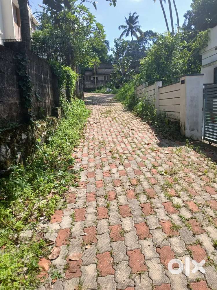 Plot for sale in near chanthavila narrikkal