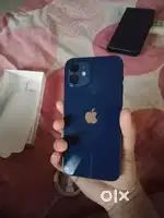iPhone 12 available wid box in gud condition
