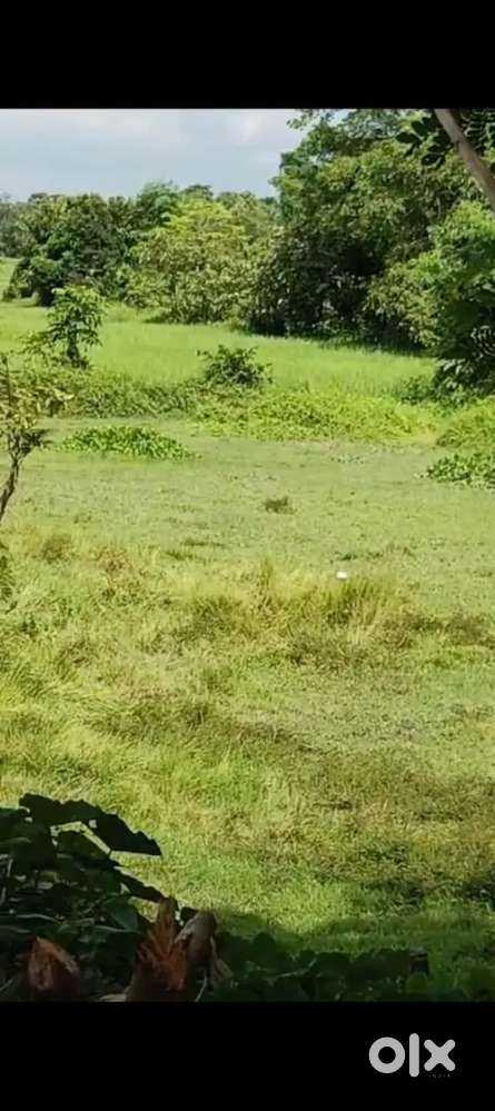 Lane near Nonoi Higher Secondary