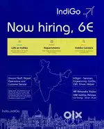 IndiGo Airlines Ground Staff|CSA|Cabin Crew|AOCS|Driver Airport Jobs
