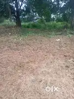 12.5 CENT SUTABLE FOR VILLA/COMMERCIAL/  EDAPALLY  CLOSE TO NH 47