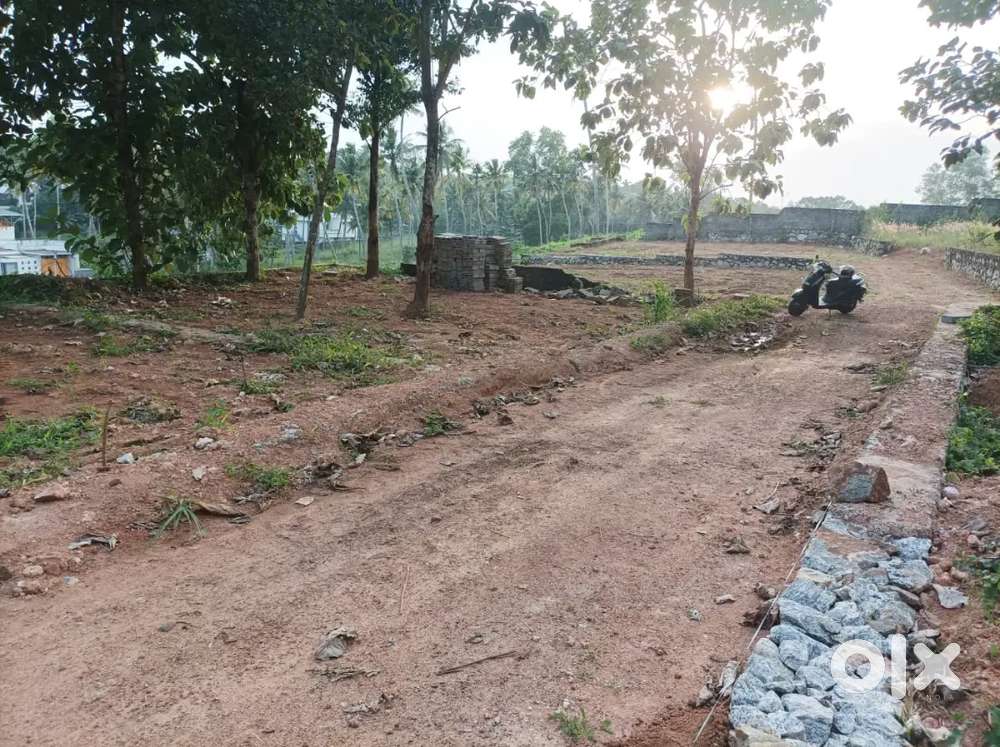 Narikkal 10 Cents Plot