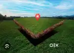 Good location corner plot