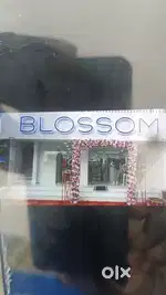 Need Sales Girl