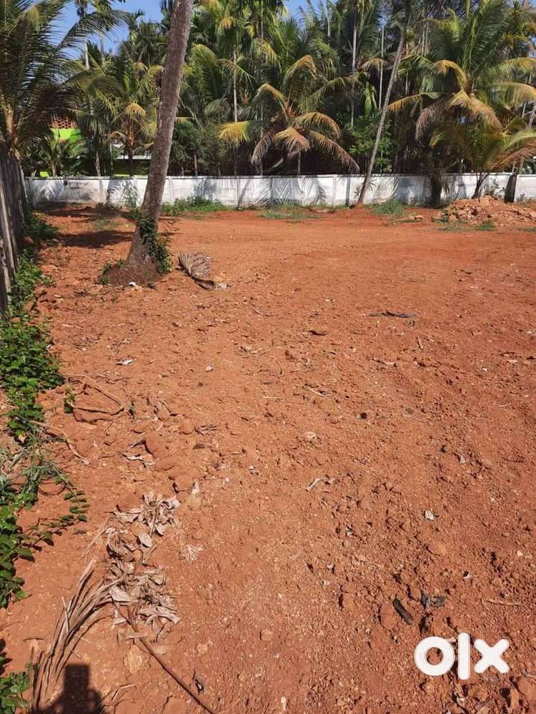 60 cents plot for rent at Aratupuazha Thrissur Thevar road