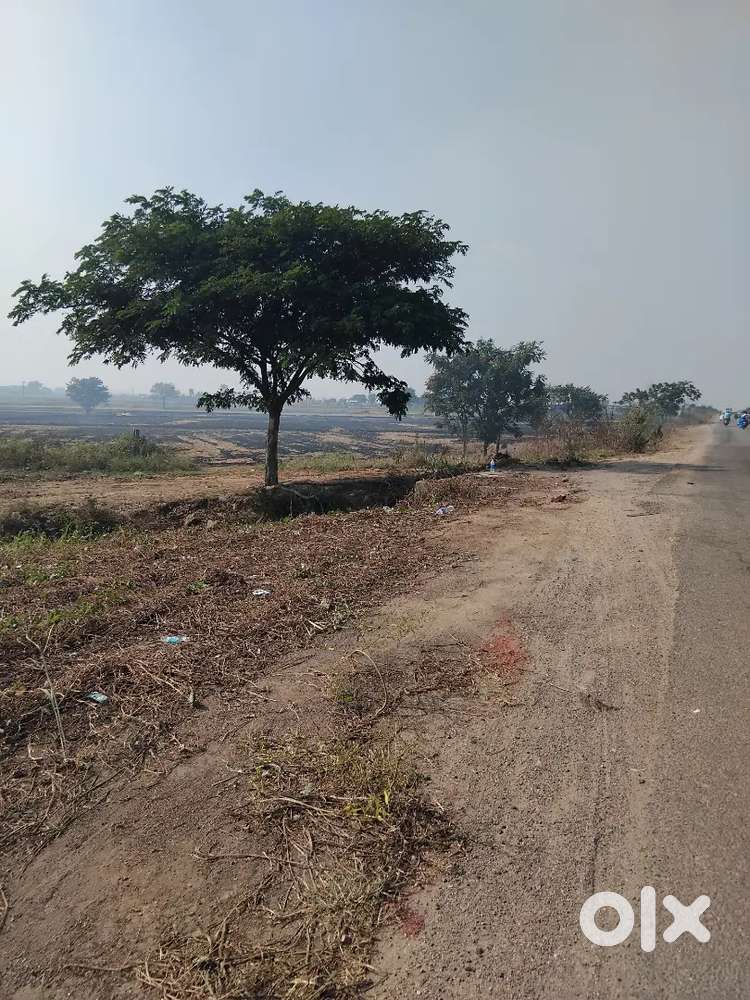 Commercial land for sale Bypass NZB