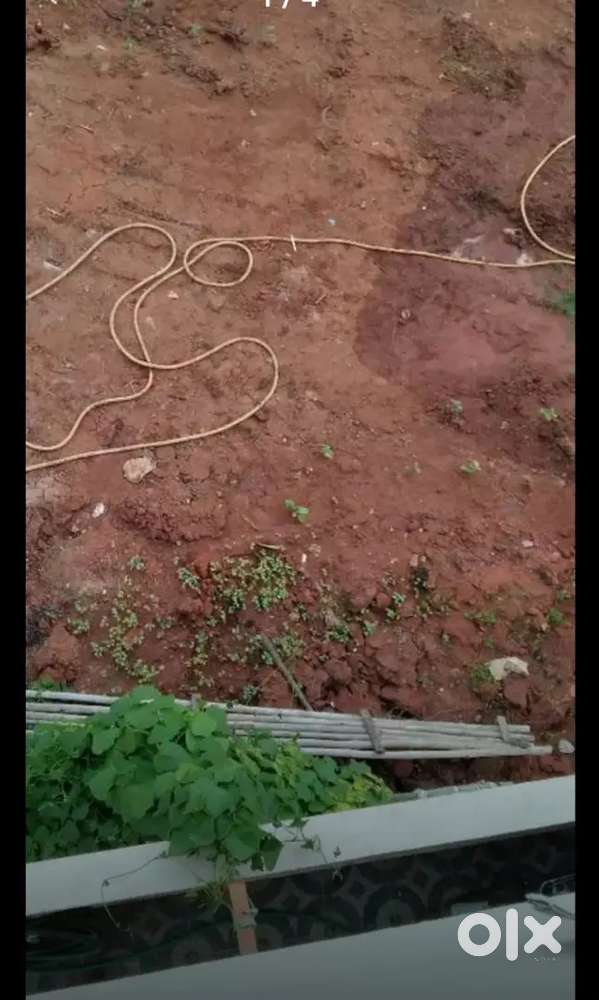 Peddapulapaka uda  colony