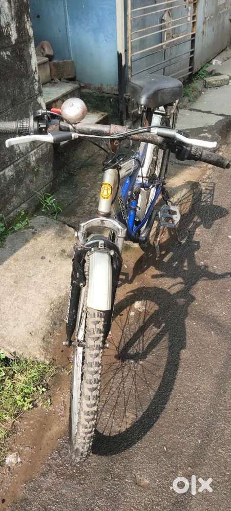 Old bicycle roadeo