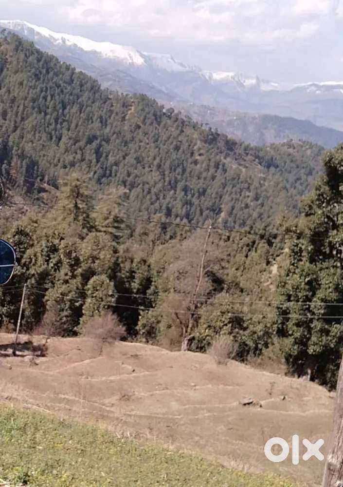 15000 per marlan total 20 kanal for sale