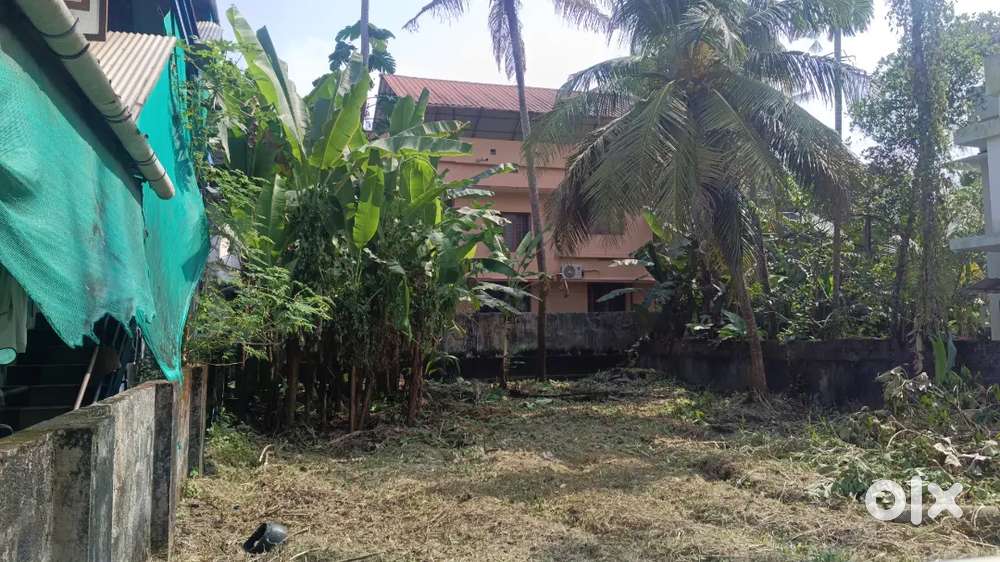 Vadakkekotavathil metro station to 100 meter tar road frond