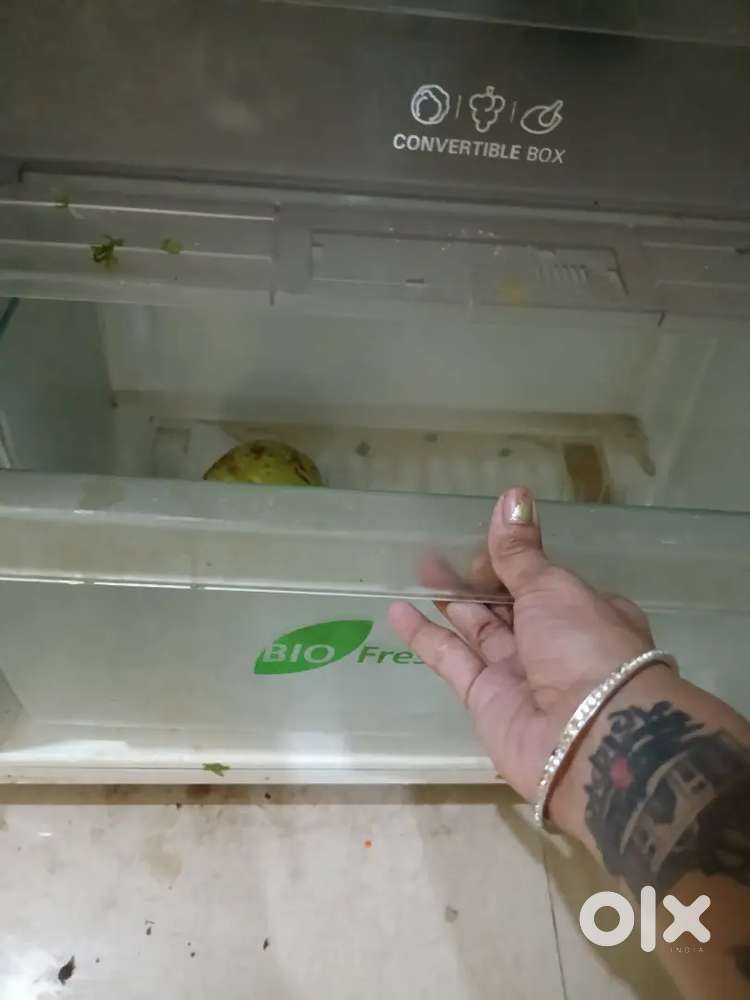 New fridge
