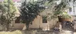 Income property (Line house)