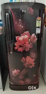 224 Litres LG Refrigerator
