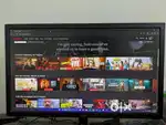 LG gaming monitor 24GL600F