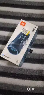 JBL Flip 6