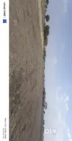 Agriculture land for sale
