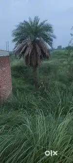 For making Home
