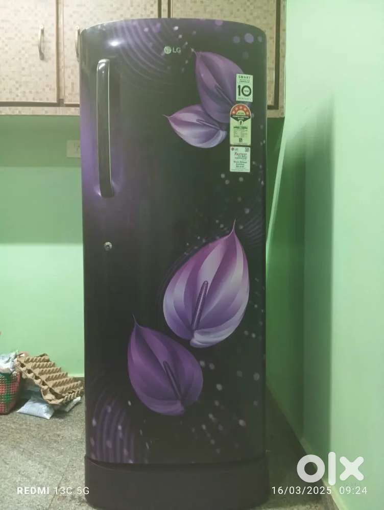Lg single door freez