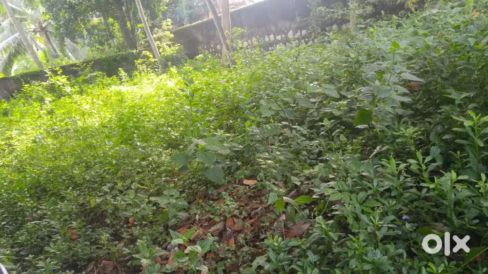 5.5 cent land for sale in nedumangad housing board manacode road