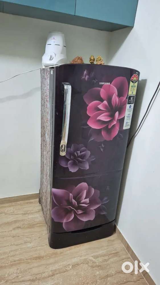 Single fridge door fridge