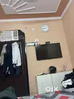 Roomate required