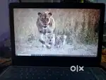 Dell Vostro professional laptop