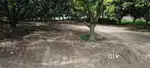Residential plots Available