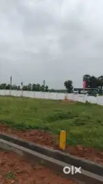 గజం 6500/- ఇల్లు కట్టుకోవటానికి వీలుగా OPEN PLOTS కొత్తవలస S.ఆనందపురం