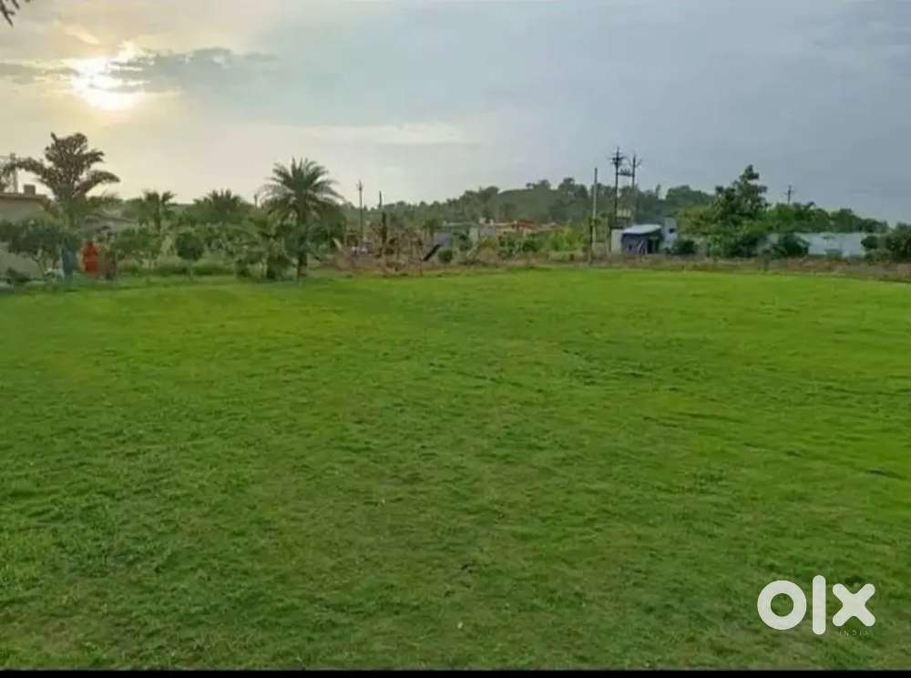 300/sqft. plots in amrawati highway road