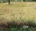 മീനങ്ങാടിയിൽ 9 സെൻ്റ് സ്ഥലം വിൽപ്പനയ്ക്ക്