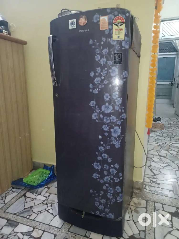 Samsung 220L Single Door Refrigerator – 5 Star Rating