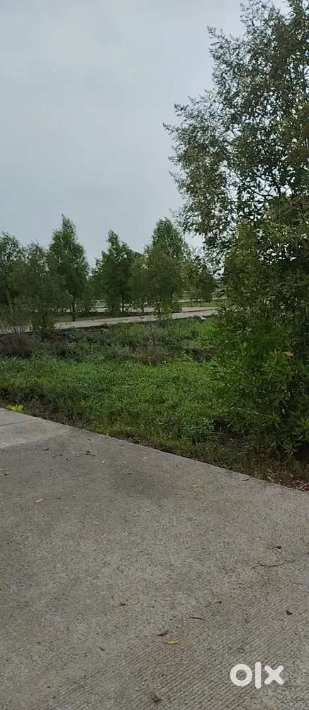 Sales executive-15, Telecaller- 05