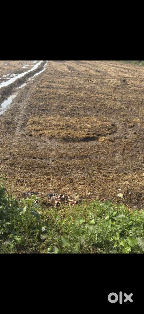 Amritsar - Pathankot Highway