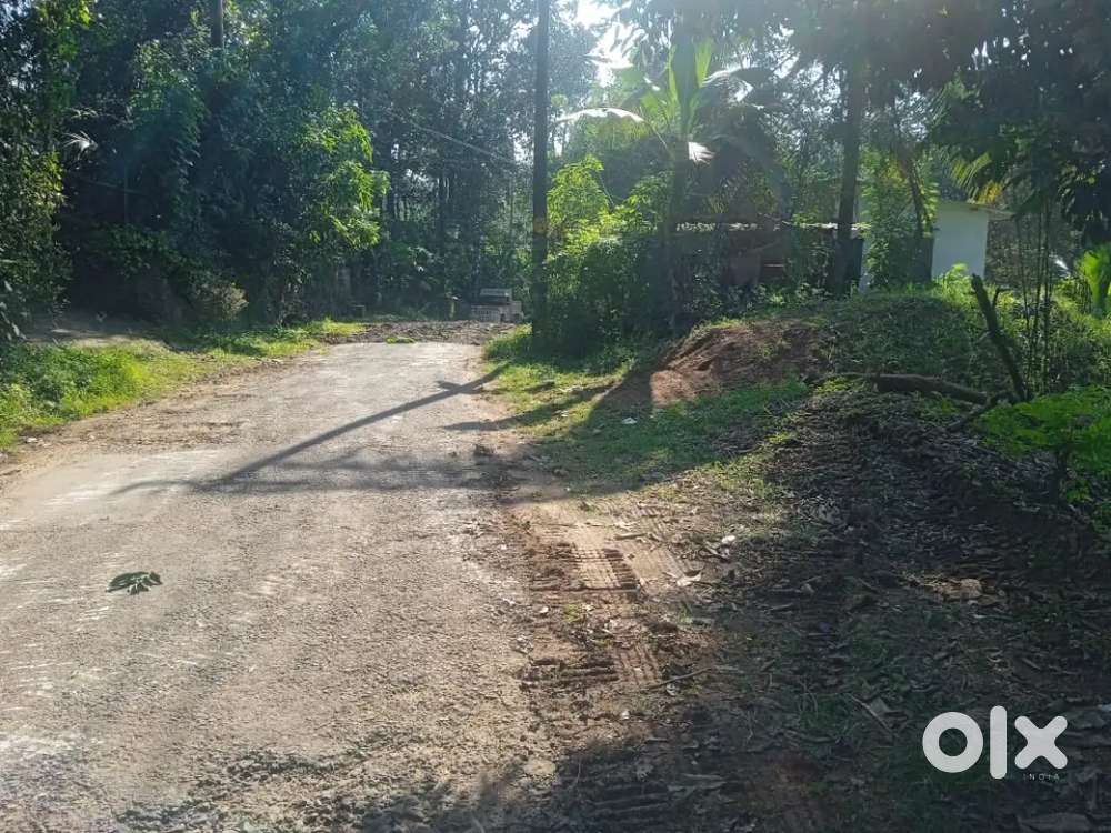 6 സെൻറ് ഹൗസ് പ്ലോട്ട് വില്പനയ്ക്ക്