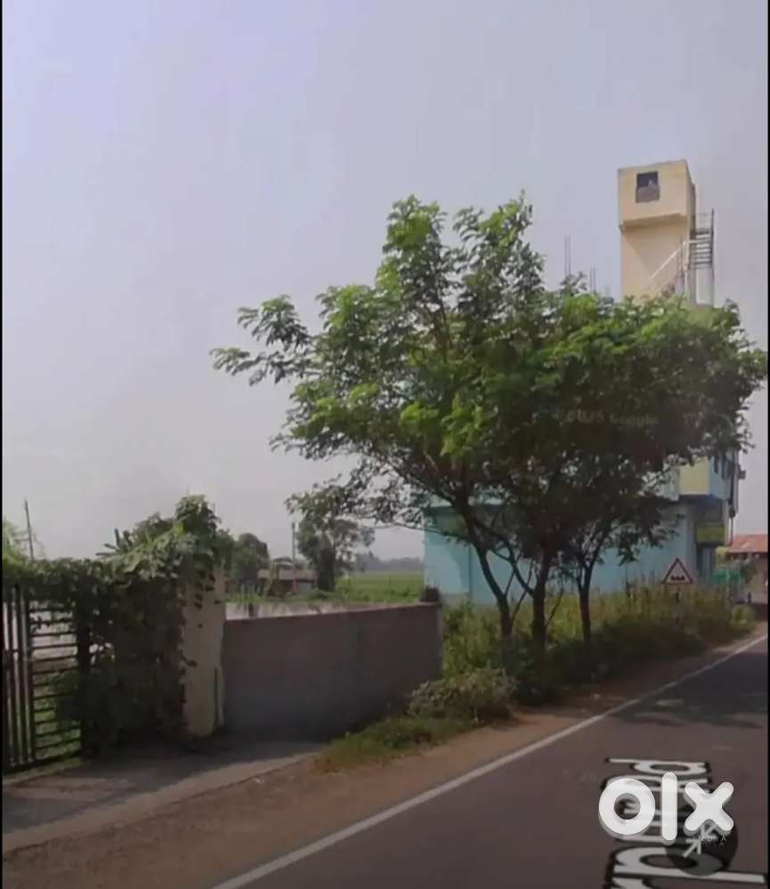 3 Katha plot for sale near Nababhat bus stand