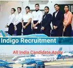 Recruitment in Airport job/Urgent Hiring/ground staff both can apply