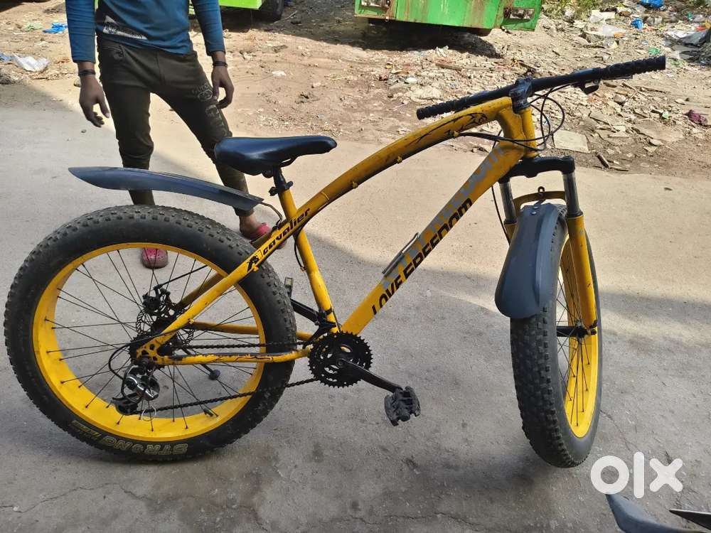 Fat tyre Cycle