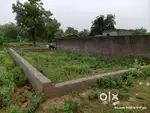 Good plot i am selling